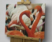 Холст фламинго